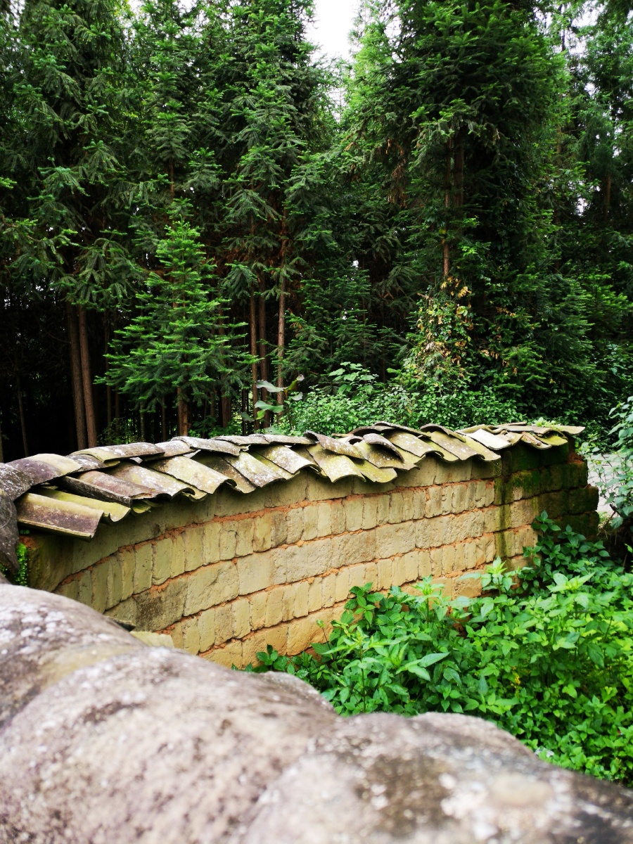 云南省腾冲市江苴村