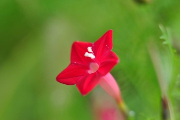 DSC_4680.JPG
