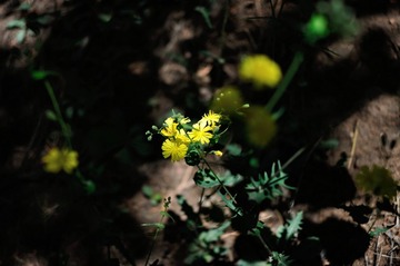 nEO_IMG_DSC_0797.jpg