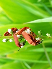 20180613_155652
