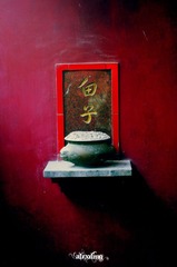 隨拍