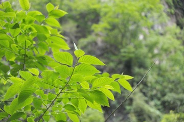 DSC_4507@