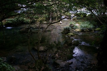_DSC2884.jpg