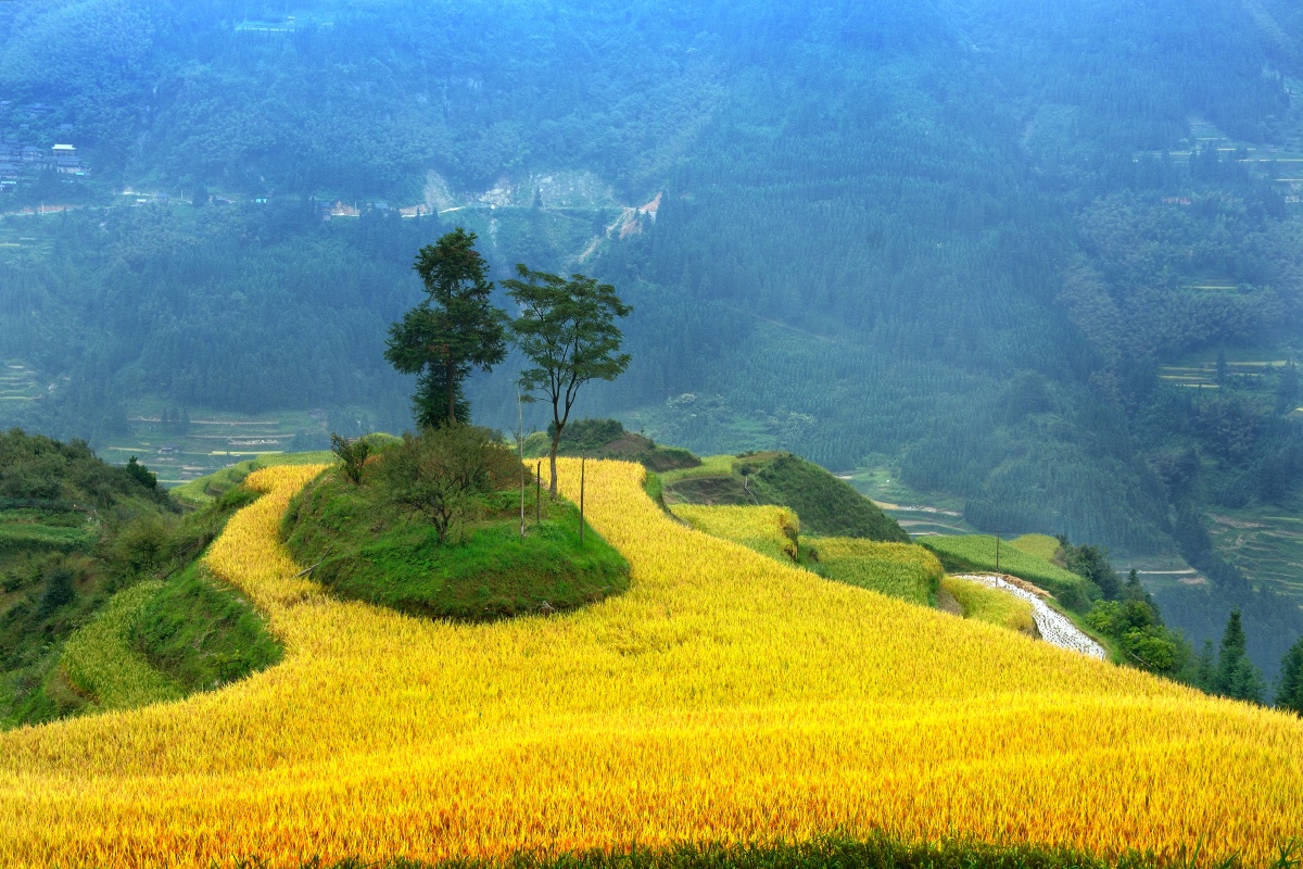 麦浪- 山丘938 - 图虫网 - 优质摄影师交流社区