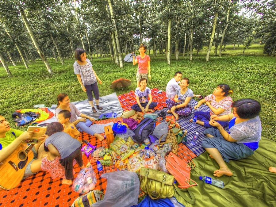 森林公园的礼拜天