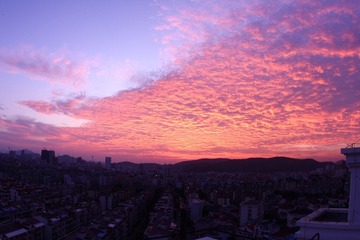 IMG_8535.JPG