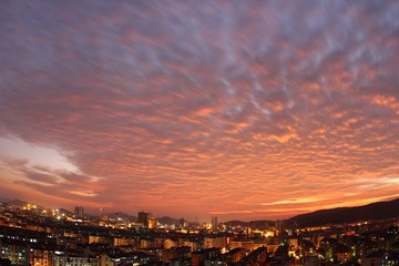 IMG_8564.JPG