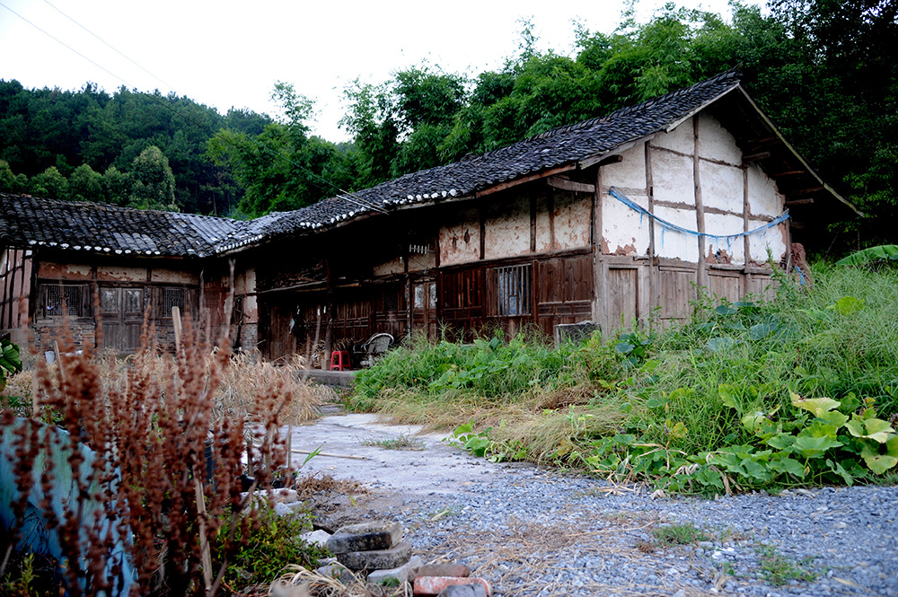 乡愁悠然柠檬基地的老房子