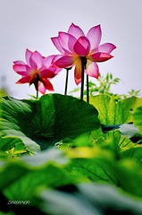 001