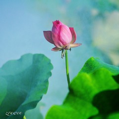 001