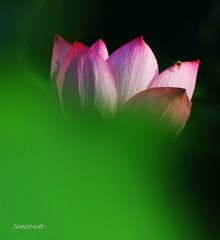 001