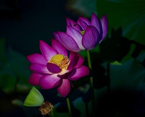 001