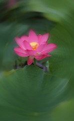 C78283A2-0F53-40E4-9421-B31035596F00/L0/001