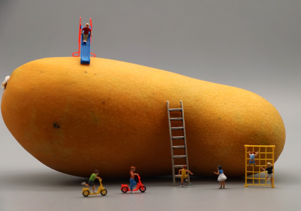 小人国摄影系列026366所有的岁月静好都不过是有人在替你负重前行