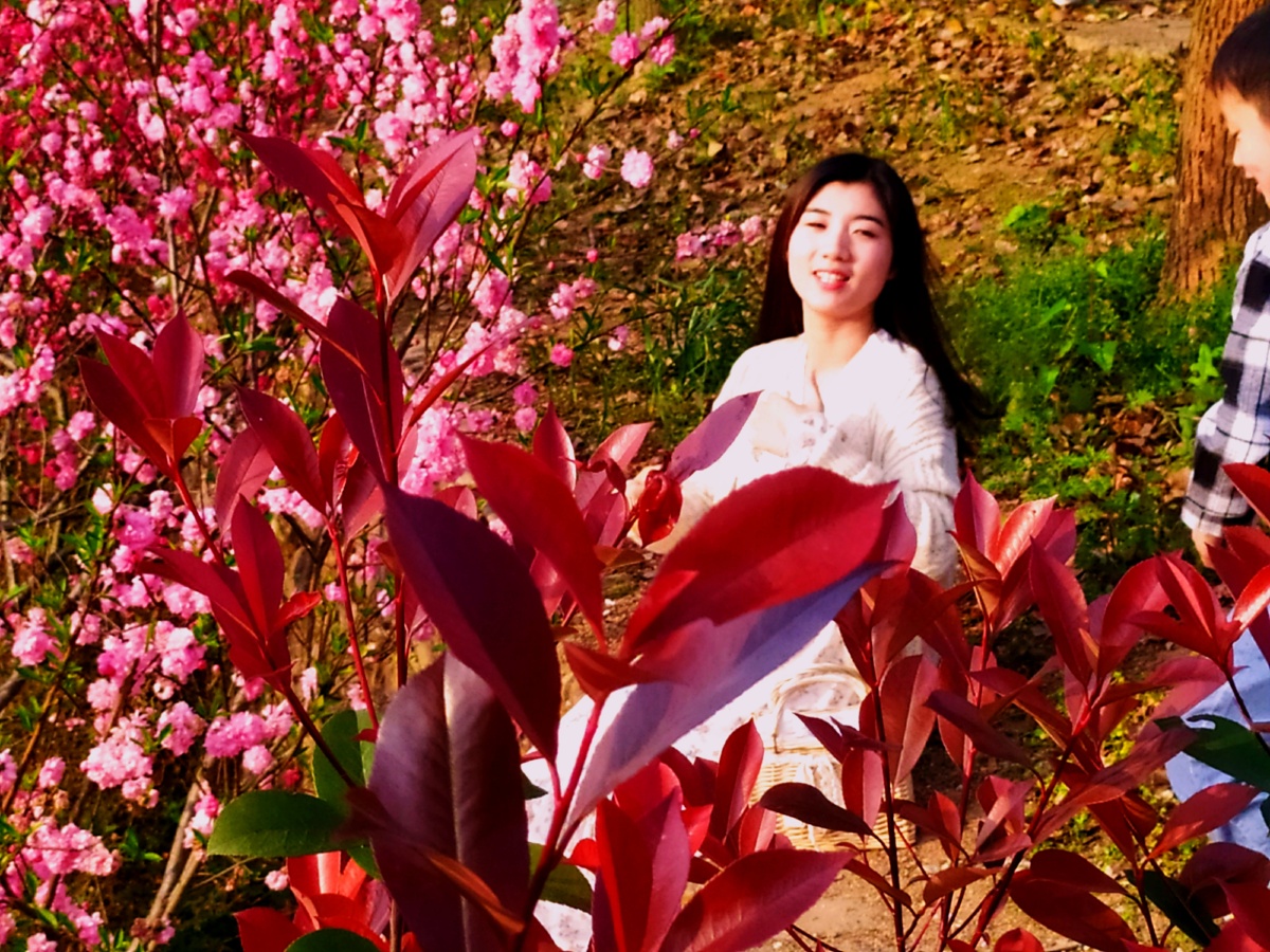 鲜花与美女 - 艾平和老陈酒淡淡 - 图虫