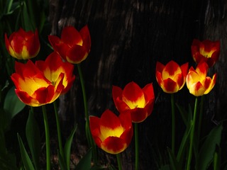 001