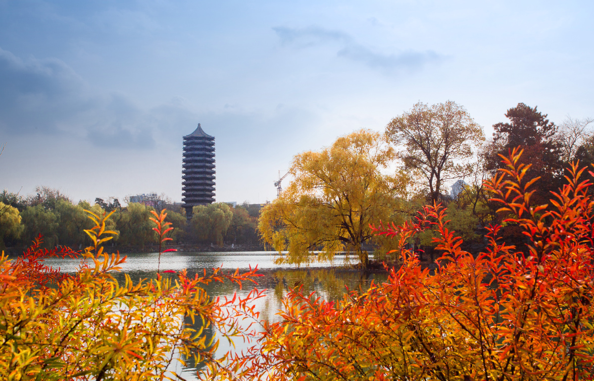 北京大学的秋天燕园秋色