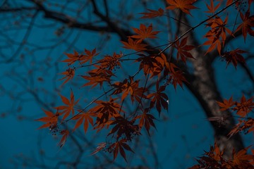 6CA08468-32F2-494C-B397-7CA62CD97A0C/L0/001