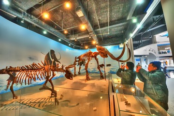 DSC08240_tonemapped