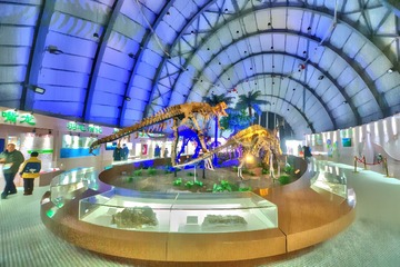 DSC08409_tonemapped