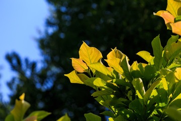 20170608-IMG_6912