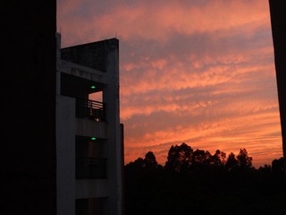 24442