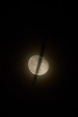 1387264