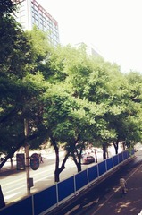 IMAG1804