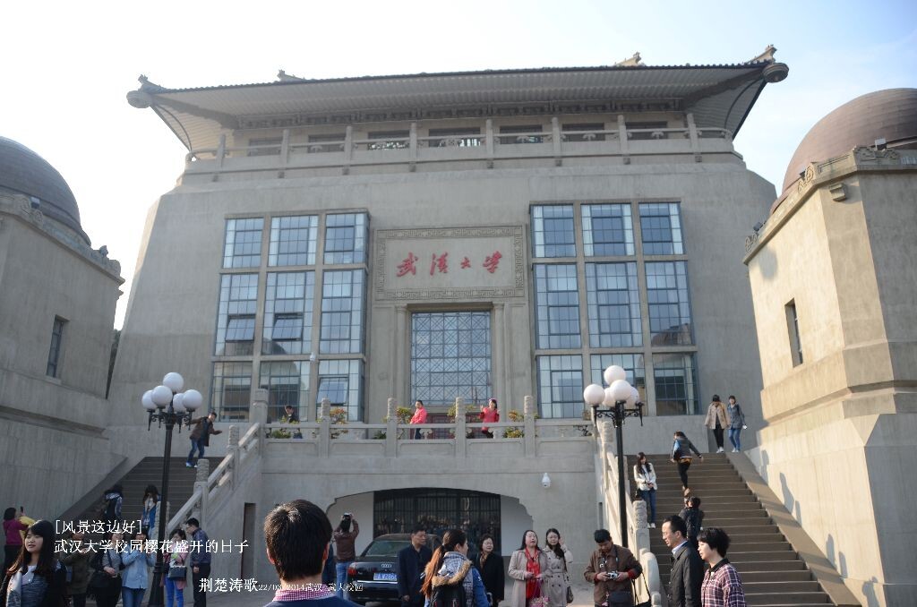 风景这边好 樱花盛开的武汉大学