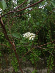 20130512_165155