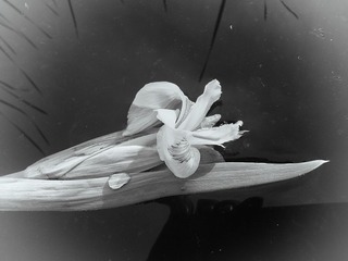 20130512_172334