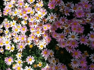 20130519_140916