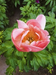 20130519_141314