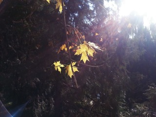 20131107_133524(0)