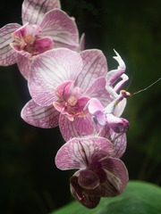 0033