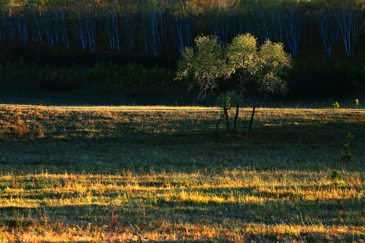 坝上- _老土_ - 图虫网 - 优质摄影师交流社区