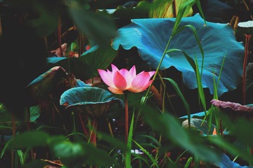 001