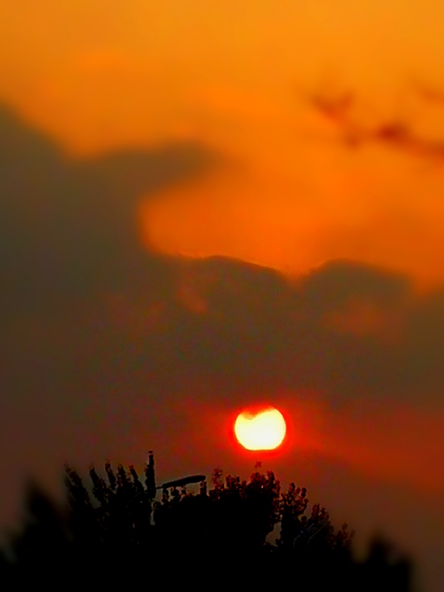 火红的太阳当空照
