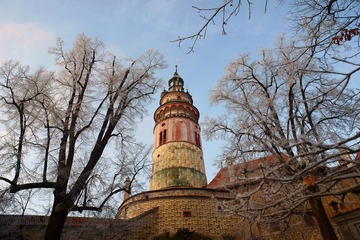 11568459996_ff012f3c8e_o