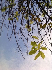 310320111555_