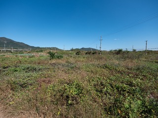 1000010149