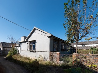 1000009784