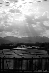 IMAG0374.jpg