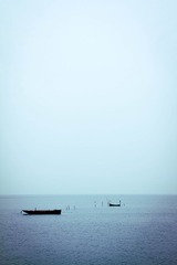 IMG_2321.jpg
