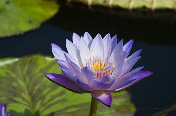 imgp7553改一