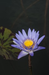 imgp7560改一