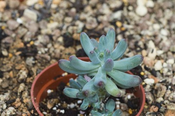 imgp7628改一