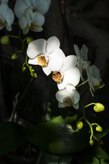 imgp7761改一