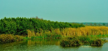 20110210-DSC_1743