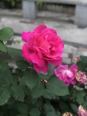 B83B3146-DCEA-4848-8711-9364AD7E24DD